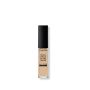 Teint Idôle Ultra Wear All Over Concealer