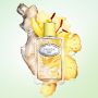 Infusion de Gingembre - Eau de Parfum - 100ml