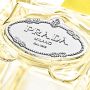 Infusion Ylang - Eau de Parfum - 100ml