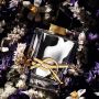 LIBRE Absolu Platine Eau de Parfum