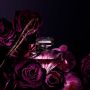 La Nuit Tresor Eau de parfum