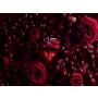 La Nuit Tresor Intense Eau de parfum