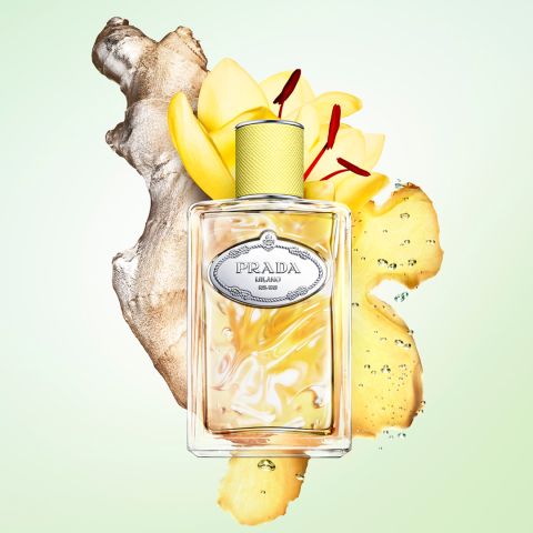 Infusion de Gingembre - Eau de Parfum - 100ml