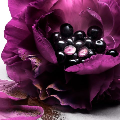 La Nuit Tresor Eau de parfum